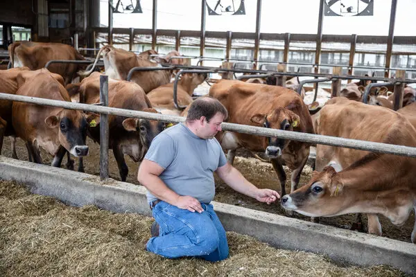 Largest Dairy Farm in the U.S