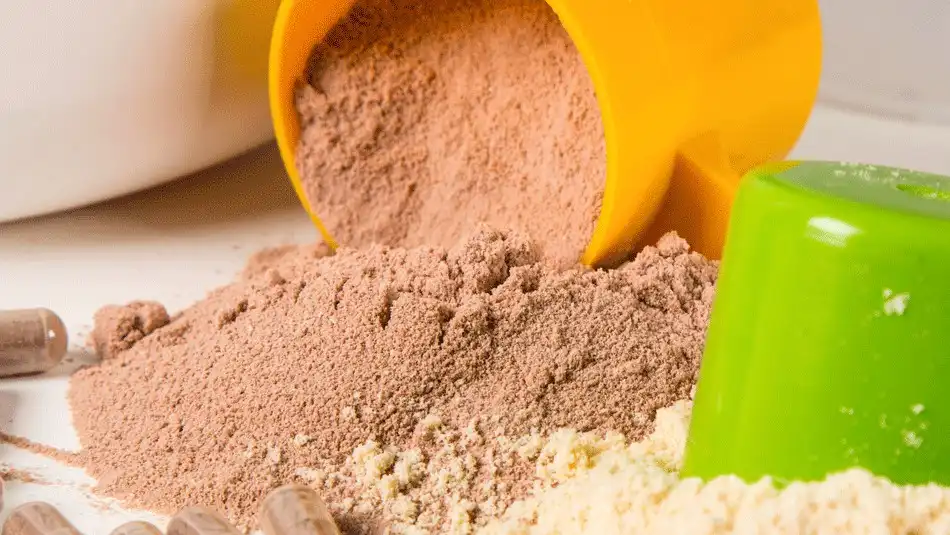 Protein Powder Manufacturers in the USA